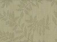 Florida Patio: Patio Furniture