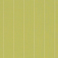 Florida Patio: Patio Furniture