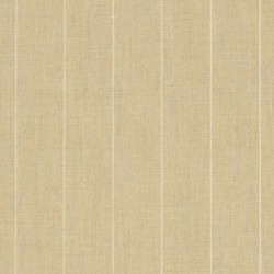 Florida Patio: Patio Furniture