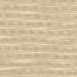 Florida Patio: Patio Furniture