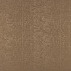 Florida Patio: Patio Furniture