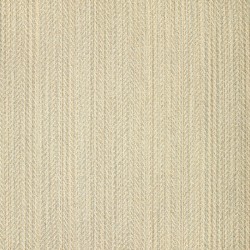 Florida Patio: Patio Furniture