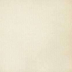 Florida Patio: Patio Furniture