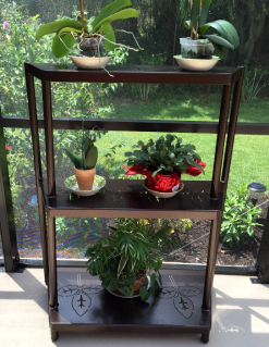 Plant Stand