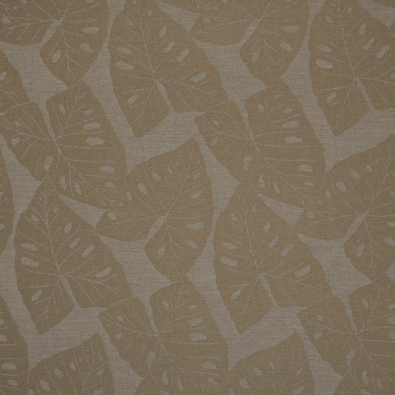 Florida Patio: Patio Furniture