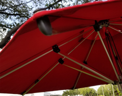 Tucci Umbrella