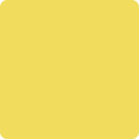 203 Yellow