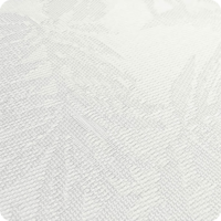 White-Jungle White-Jungle