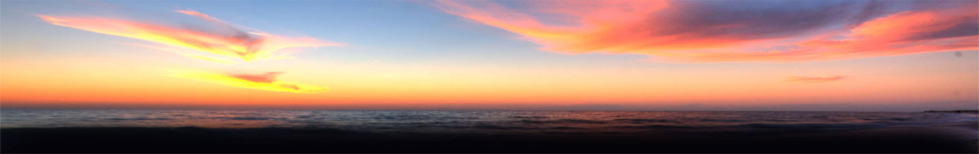 Florida Patio: Patio Furniture